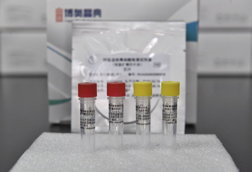 戰(zhàn) 疫 利器升級(jí) 1.5小時(shí)內(nèi)一次性檢測(cè)6種呼吸道病毒