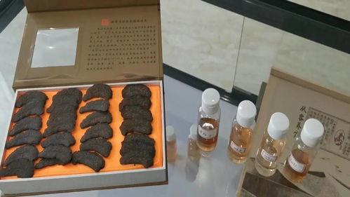 科技轉(zhuǎn)化成果成為產(chǎn)業(yè)高質(zhì)量發(fā)展新動(dòng)能