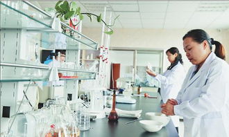 世界領先生物發酵木糖醇提取技術落戶依蘭