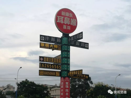 細(xì)節(jié)鑄就文明 從海南路牌廣告看城市風(fēng)貌的精細(xì)化治理